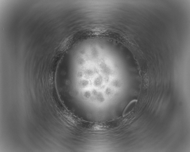 X0000059820657200510211148