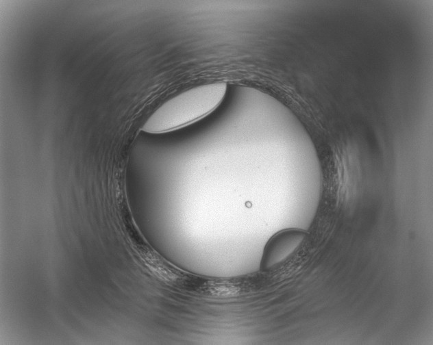 X0000059820658200510211148