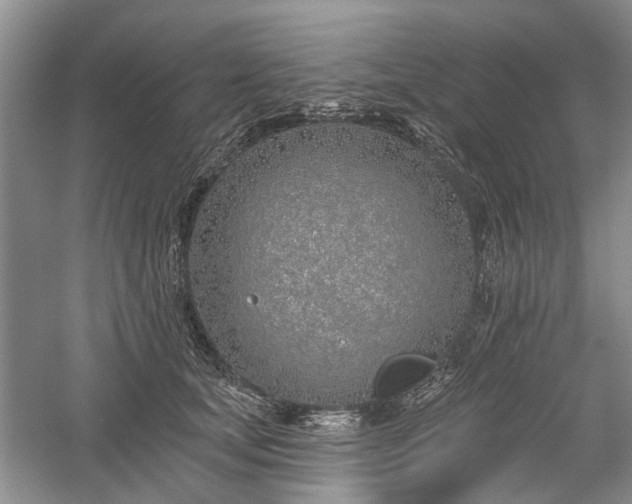 X0000059820659200510211148