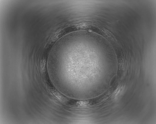 X0000059820660200510211148