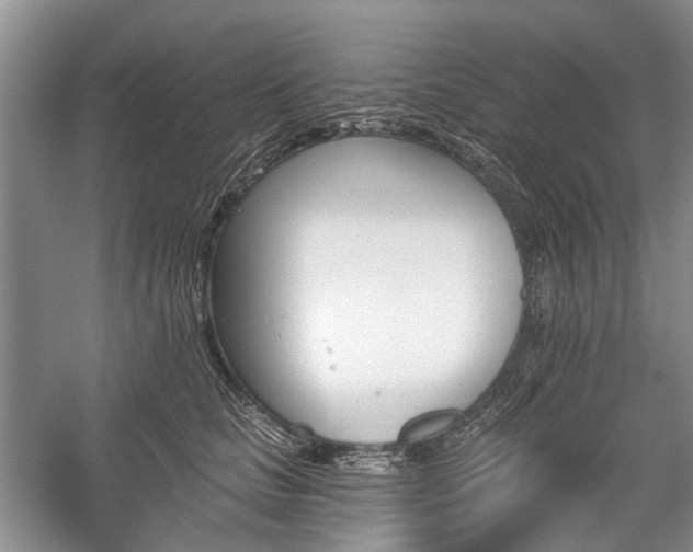 X0000059820661200510211148