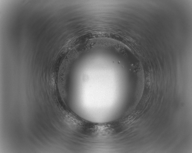 X0000059820662200510211148