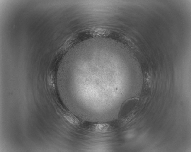 X0000059820663200510211148