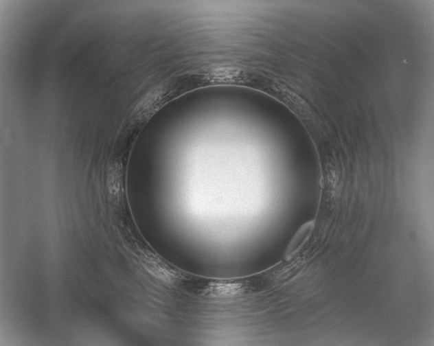 X0000059820665200510211148