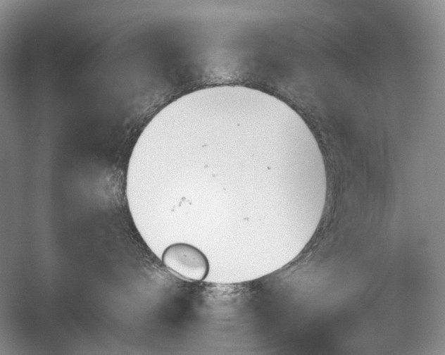 X0000059820672200510211148