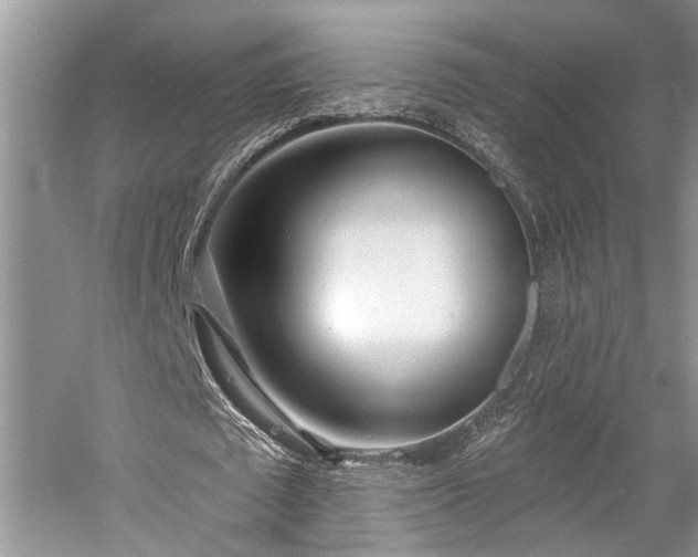 X0000059820673200510211147