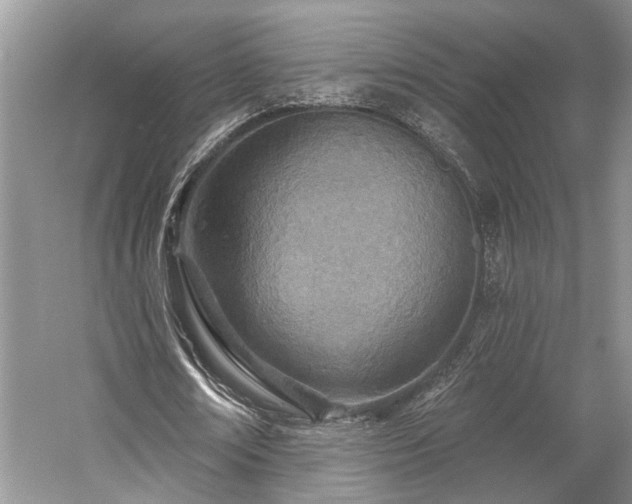 X0000059820674200510211147