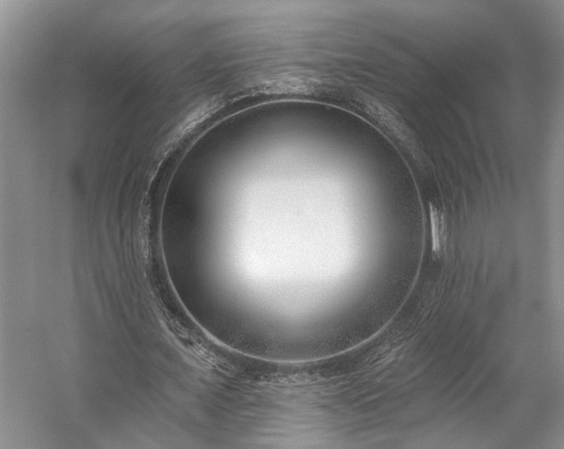 X0000059820675200510211147