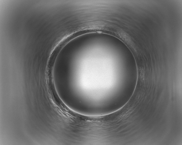 X0000059820676200510211147