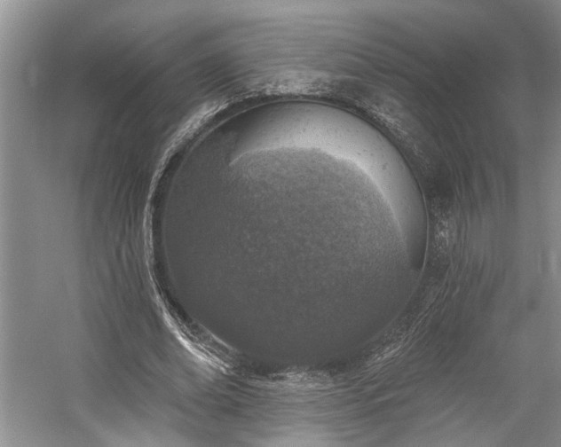 X0000059820678200510211147