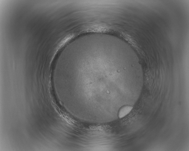 X0000059820679200510211147