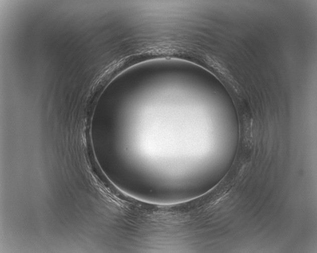 X0000059820681200510211147