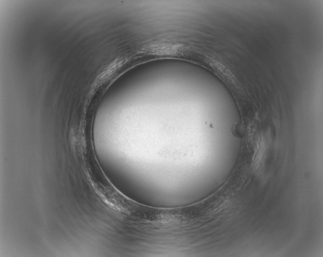 X0000059820682200510211147