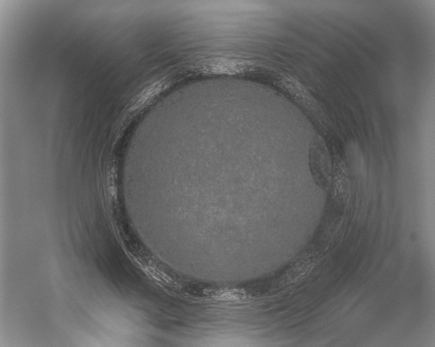 X0000059820683200510211147