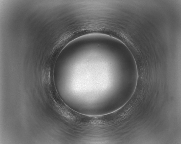 X0000059820685200510211147