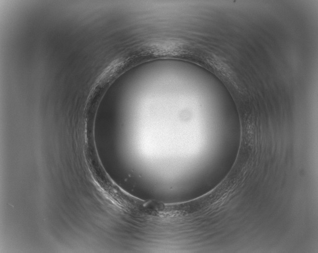 X0000059820686200510211147