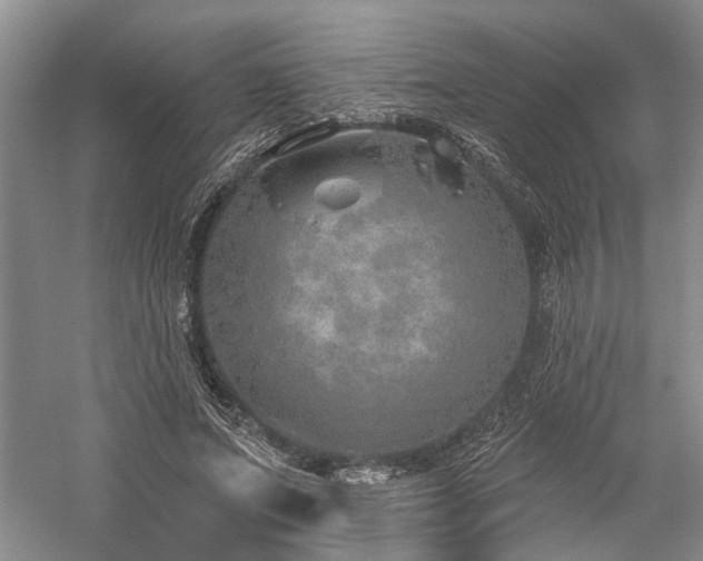 X0000059820687200510211147