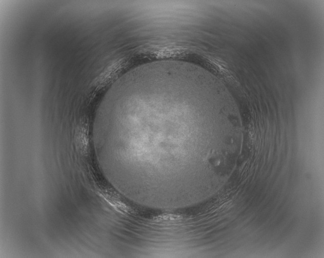 X0000059820691200510211147