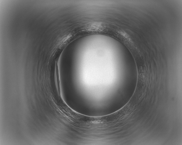 X0000059820692200510211147