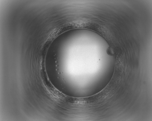 X0000059820694200510211147