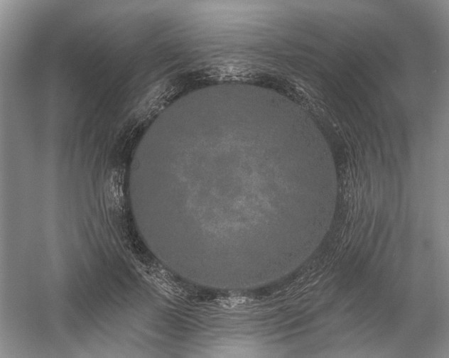 X0000059820695200510211147