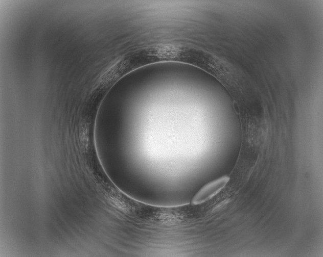 X0000059820697200510211147