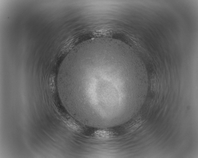 X0000059820699200510211147