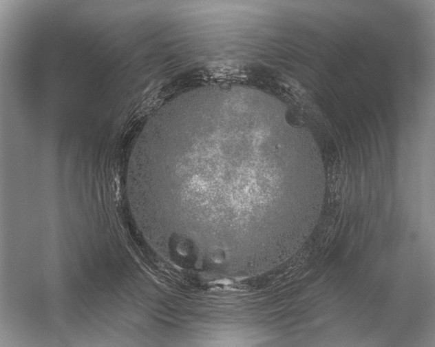 X0000059820703200510211147