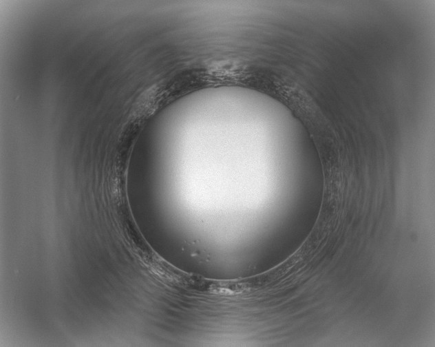 X0000059820706200510211147