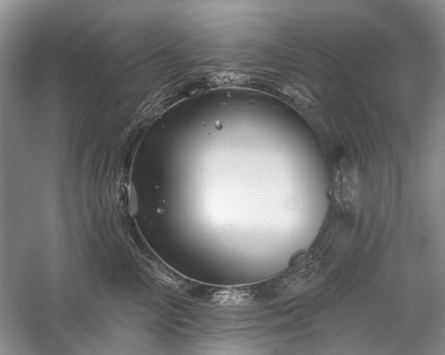 X0000059820714200510211147