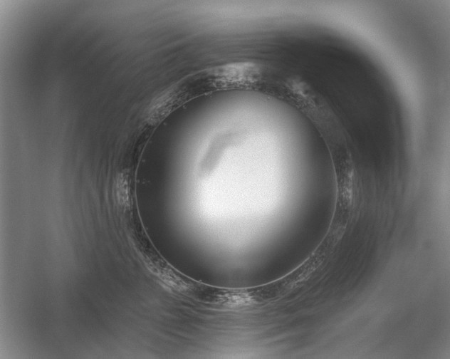 X0000059820715200510211147