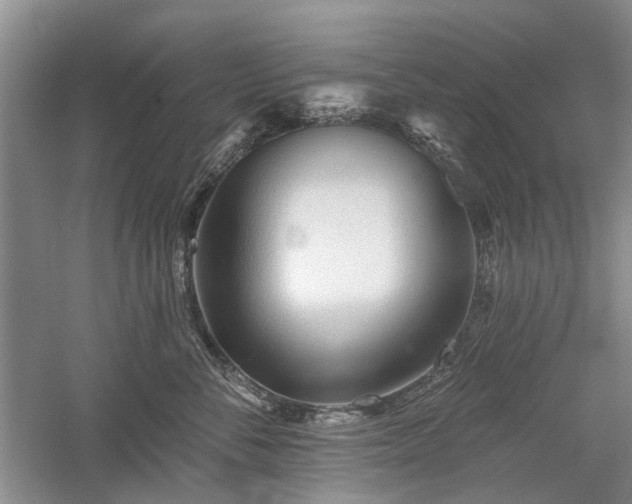 X0000059820716200510211147