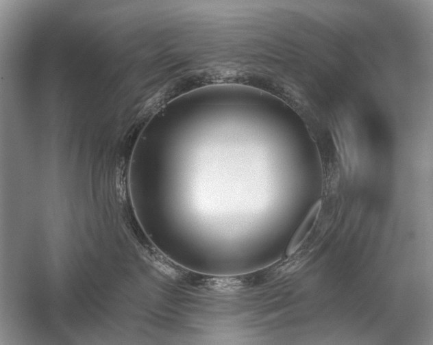 X0000059820719200510211146