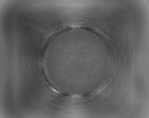 X0000059820720200510211146