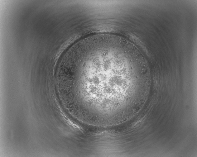 X0000059820721200510211146