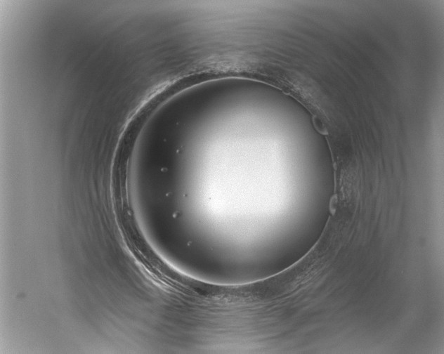 X0000059820722200510211146