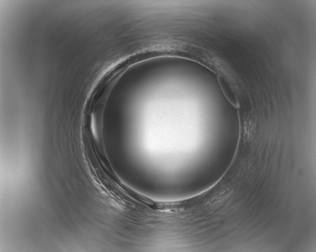 X0000059820724200510211146