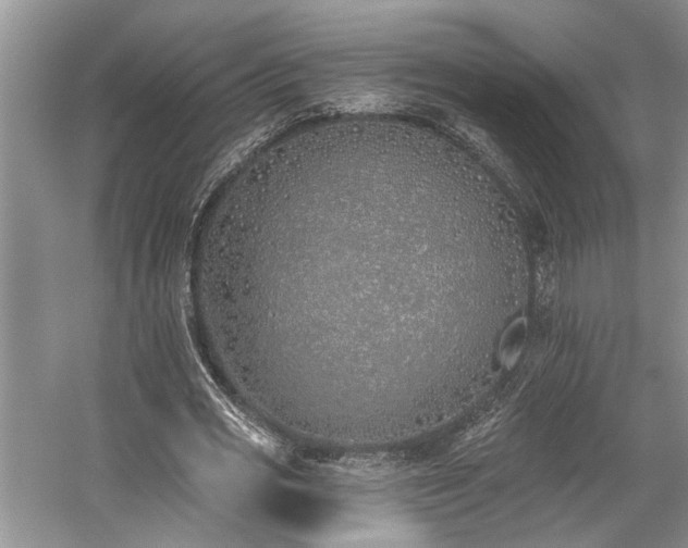 X0000059820725200510211146