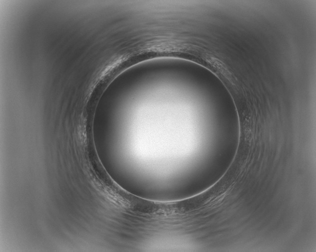 X0000059820727200510211146