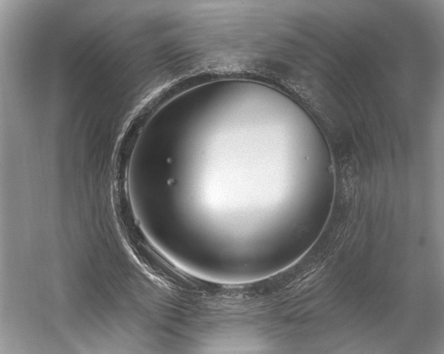 X0000059820728200510211146