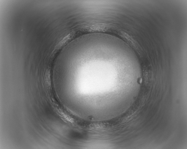 X0000059820729200510211146