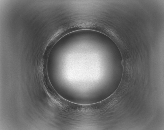 X0000059820730200510211146