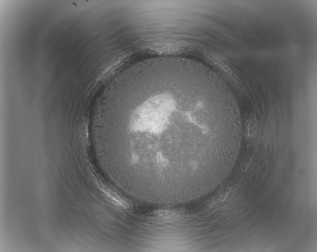 X0000059820733200510211146