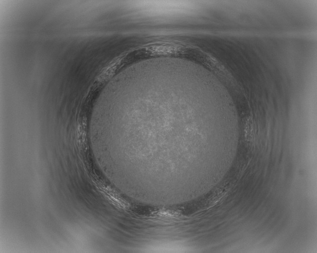 X0000059820737200510211146