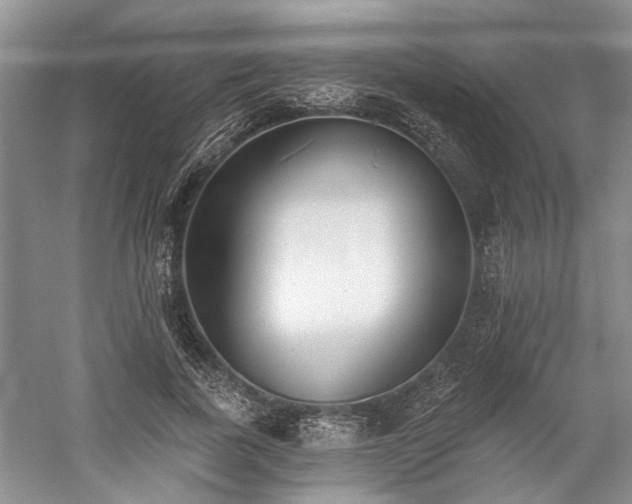 X0000059820739200510211146