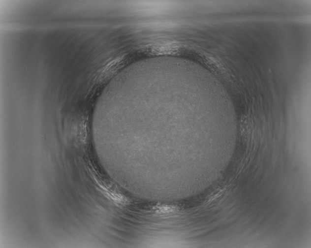 X0000059820741200510211146