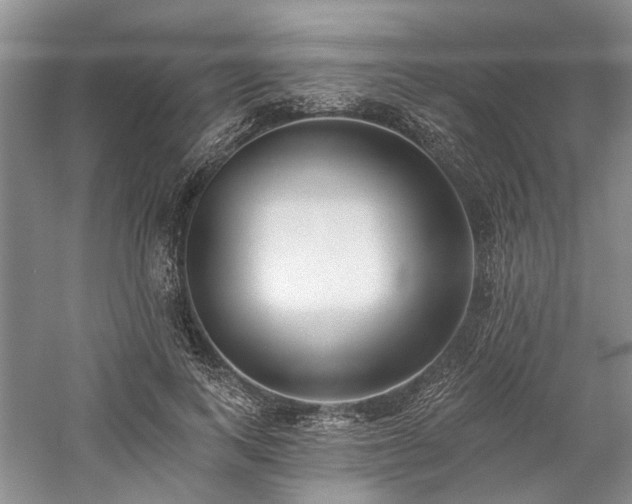 X0000059820743200510211146