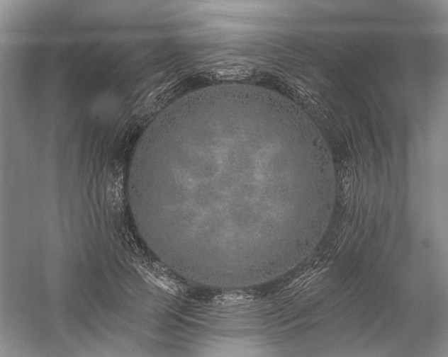 X0000059820745200510211146