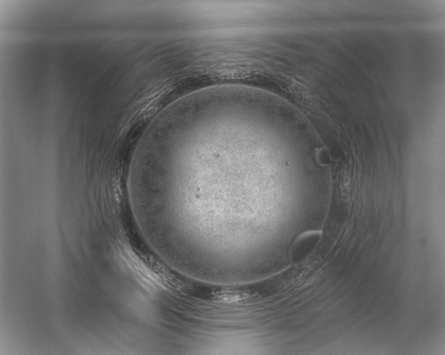 X0000059820746200510211146