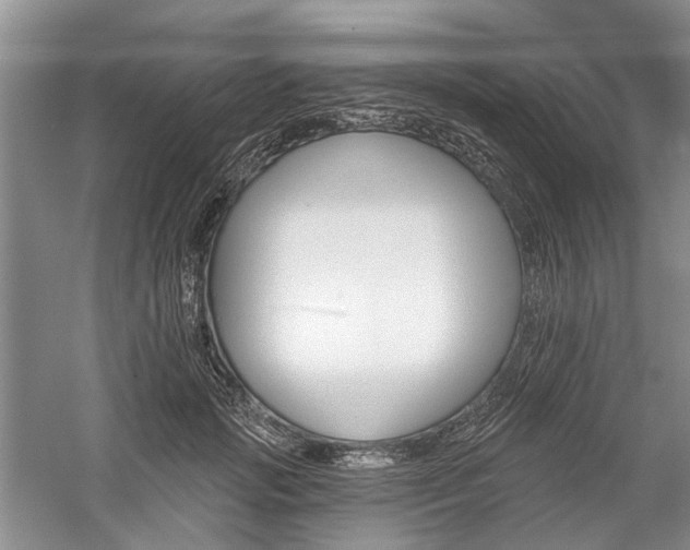 X0000059820749200510211146